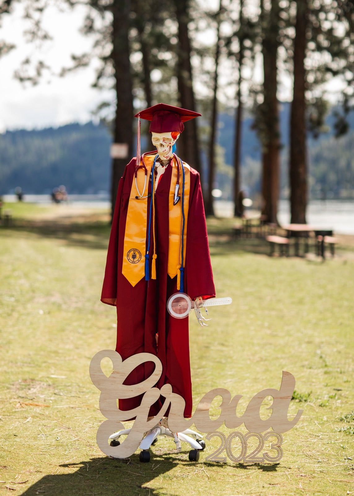 Grad Wooden Laser Cut Signs