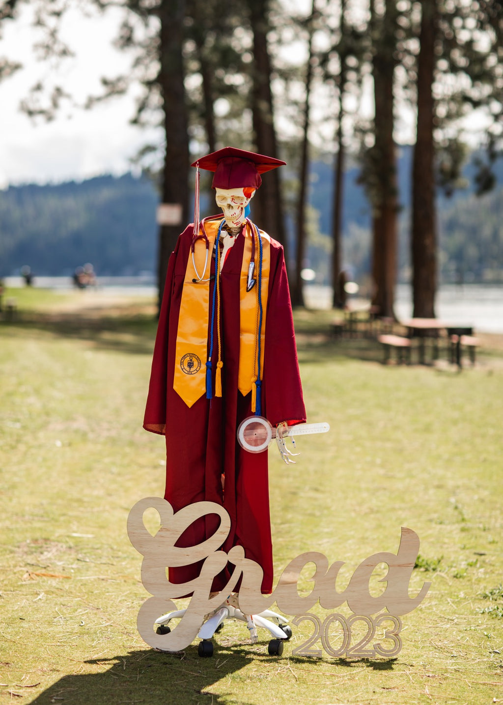 Grad Wooden Laser Cut Signs